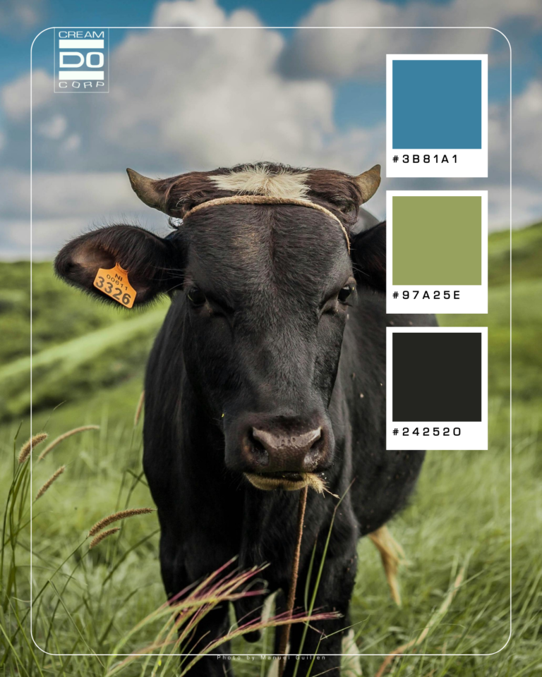 portada, colors i found, instagram post, creamdo corp (5)